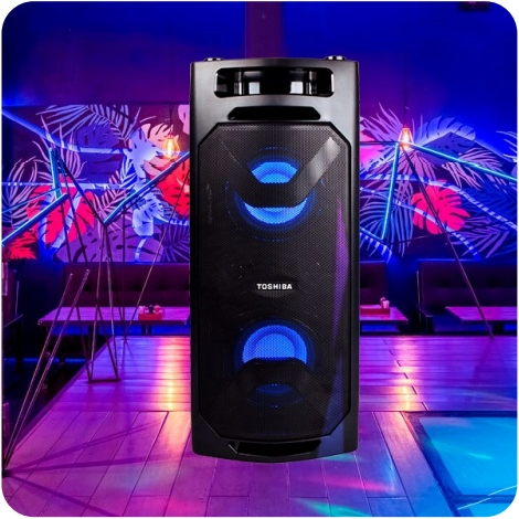 Toshiba TY-ASC66 portable speaker Bluetooth Black